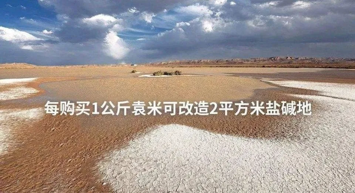 富硒大米哪一种好