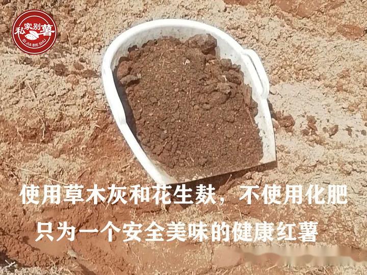 桥头富硒地瓜品种