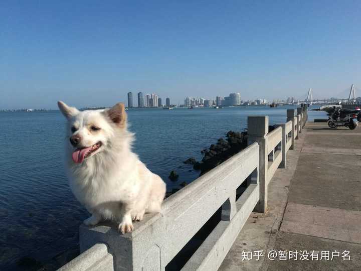 海南富硒姑娘地瓜