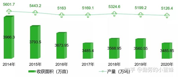 富硒地瓜能做什么