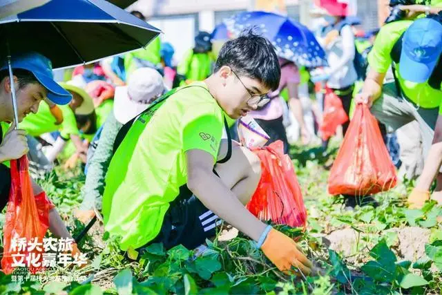 南采富硒桥头地瓜