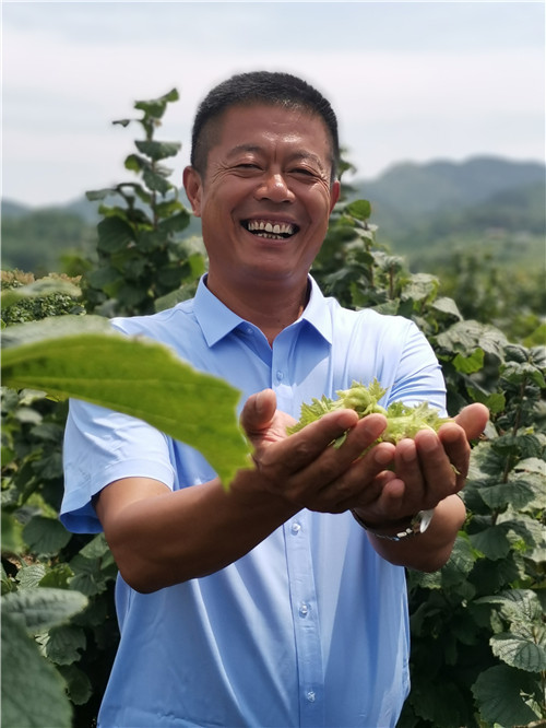 山东博山富硒地瓜