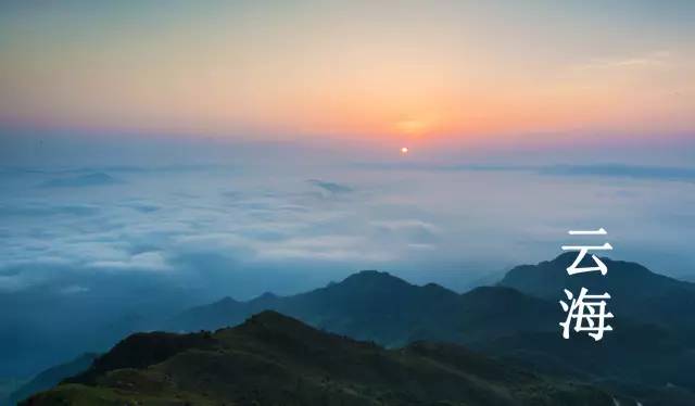 桥头富硒地瓜避坑