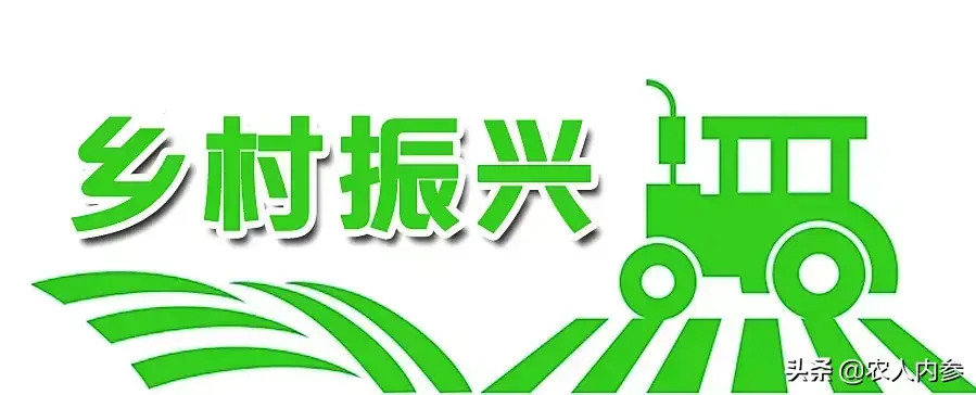 如何种植富硒地瓜