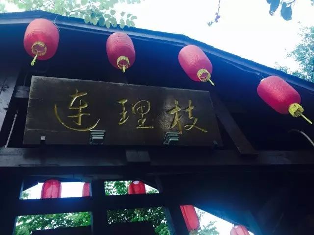 富硒地瓜什么样的