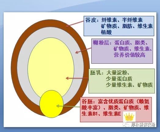 富硒营养面粉介绍