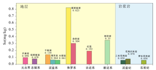 新疆富硒小麦面粉