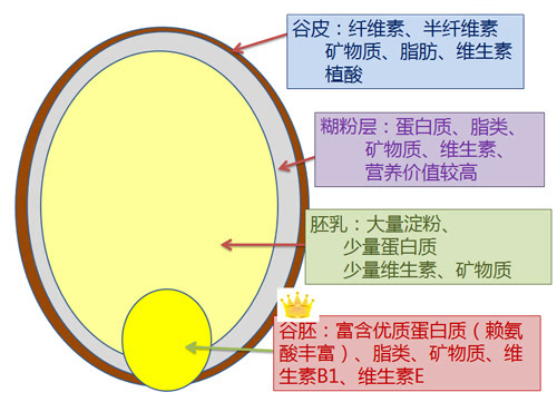 富硒营养膳食面粉