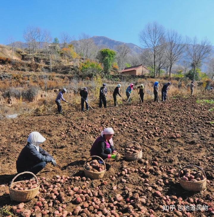 固原富硒面粉标准