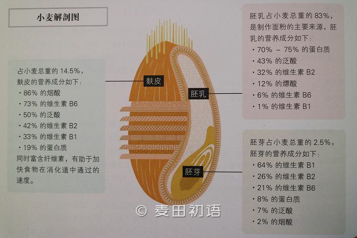 优质富硒面粉生产