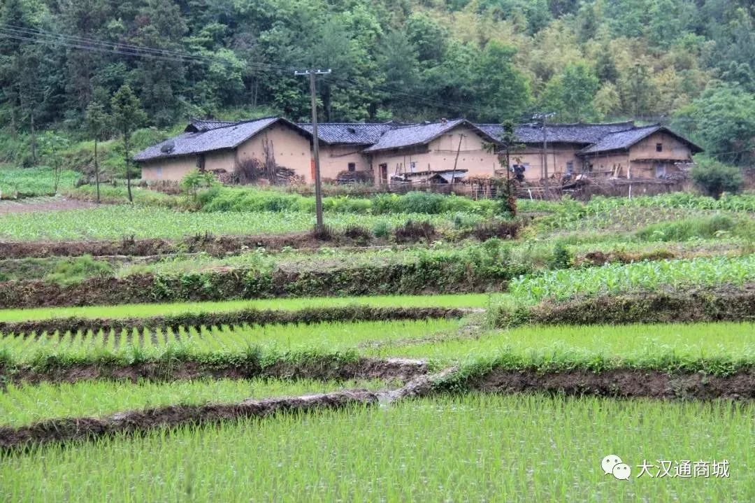 富硒面粉五斤价格