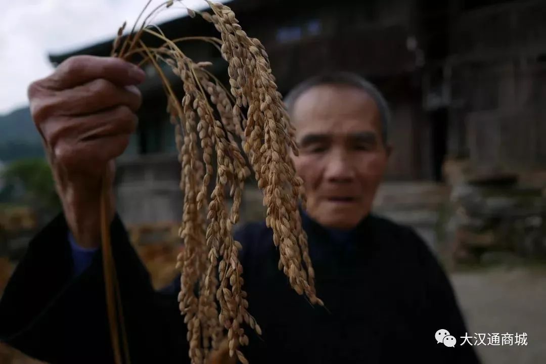 富硒面粉五斤价格