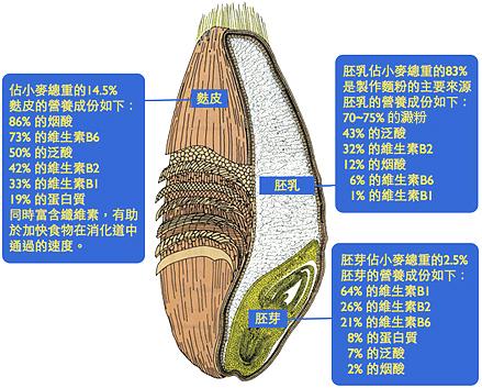 富硒面粉是高筋吗