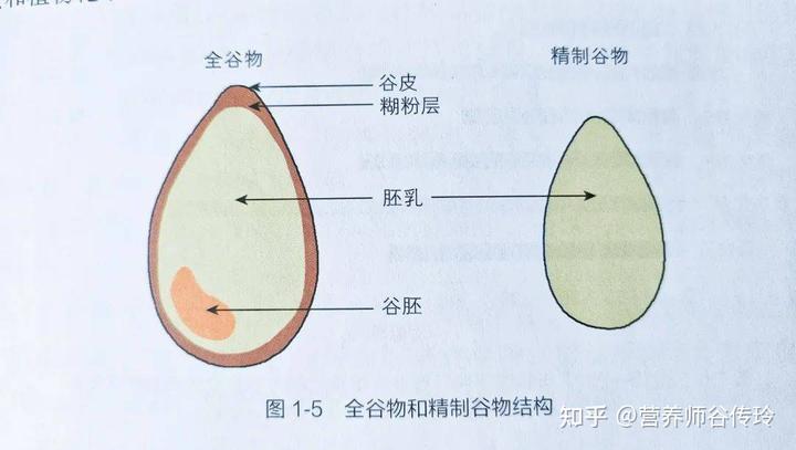 富硒红麦石磨面粉