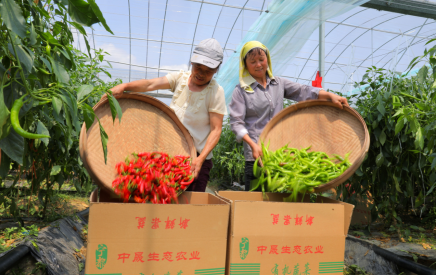 富硒瓜果蔬菜标准