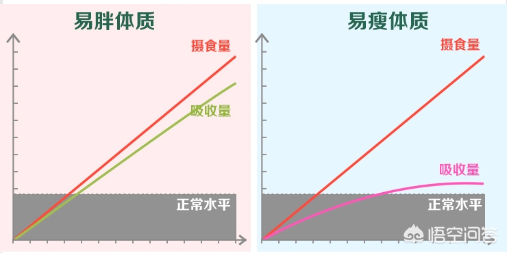 富硒蔬菜面条热量