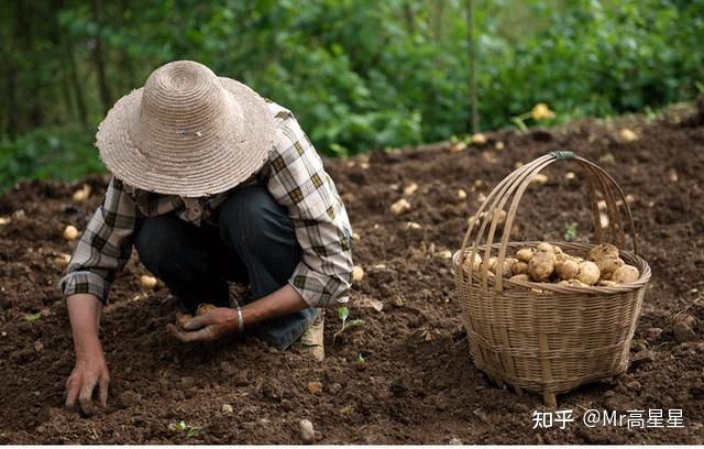 湖北恩施富硒蔬菜