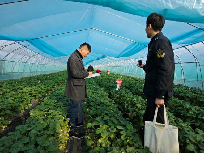 山东济宁富硒蔬菜