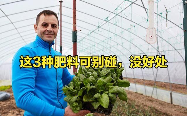 富硒蔬菜夏季施肥