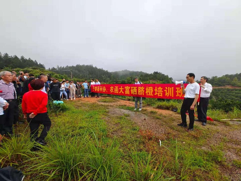 富硒农业盆栽蔬菜