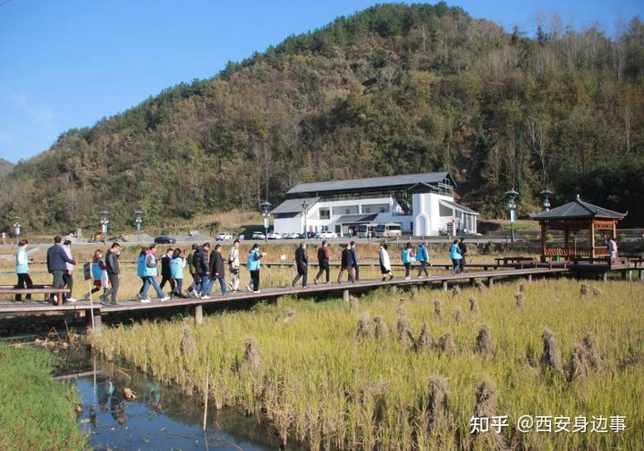 石城富硒蔬菜基地