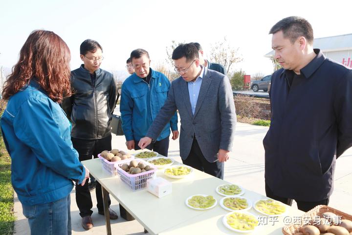 石城富硒蔬菜基地