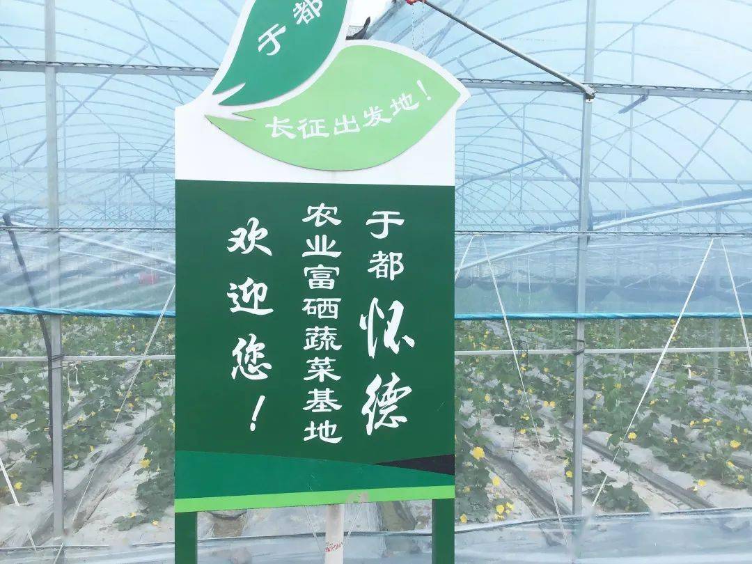 龙南富硒蔬菜基地