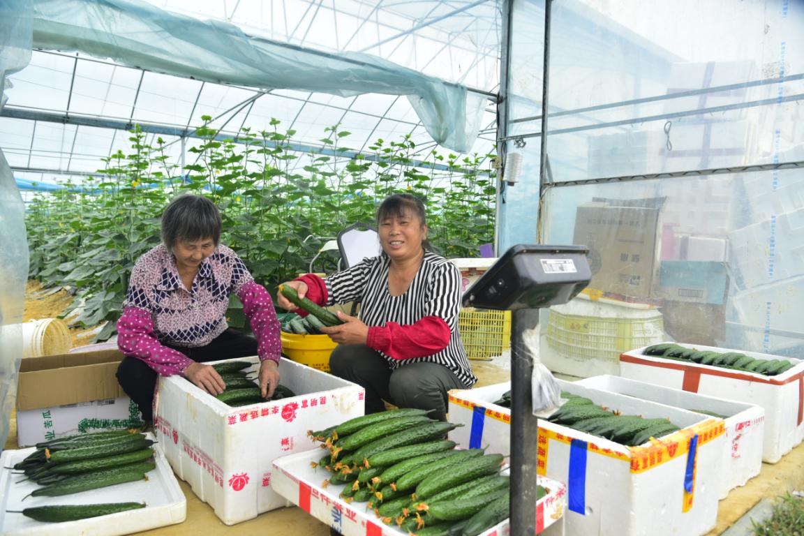 龙南富硒蔬菜基地