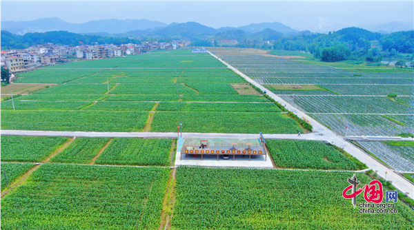 龙南富硒蔬菜基地