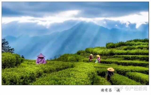 东升富硒蔬菜基地