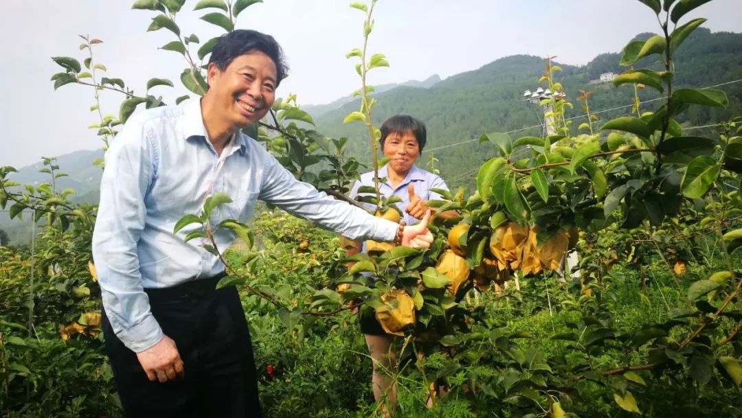 湖北恩施富硒水果