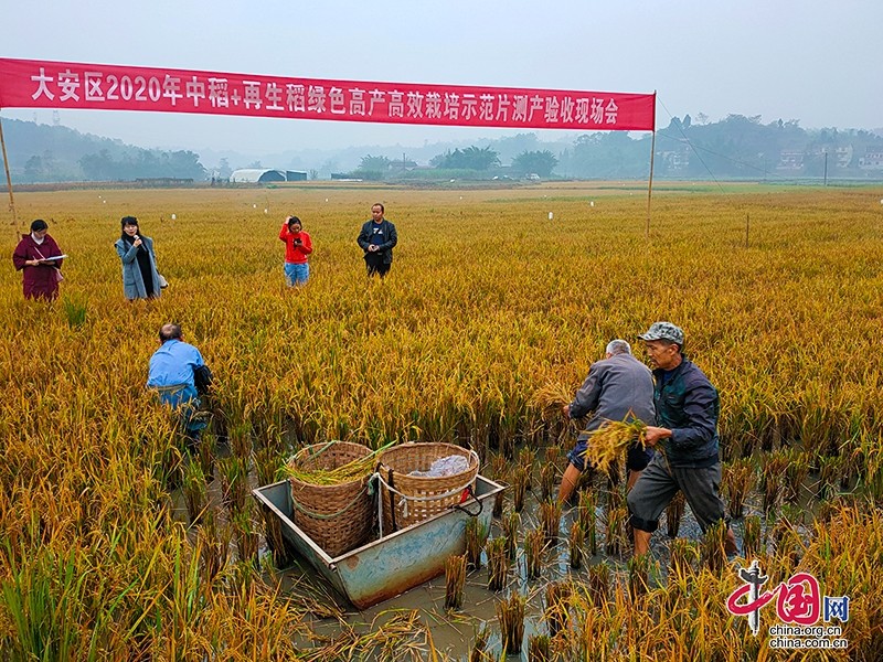 昌乐富硒水果基地