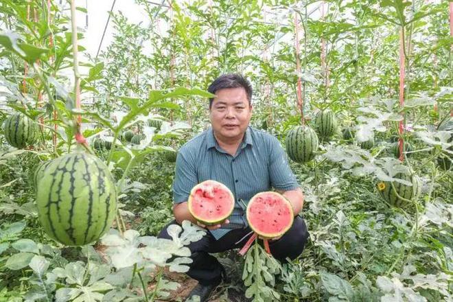 德阳富硒水果种植