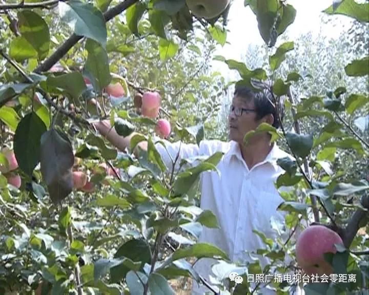 富硒水果怎样种植