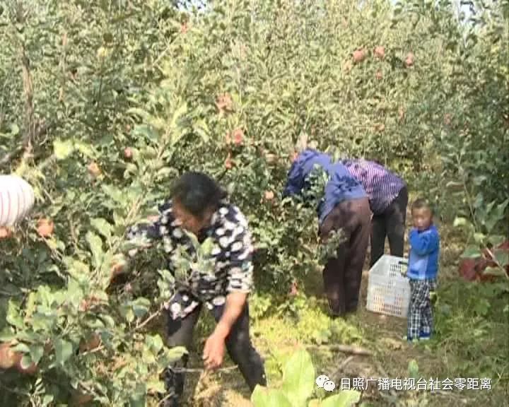 富硒水果怎样种植