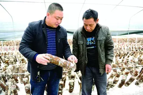 桂林富硒水果美食