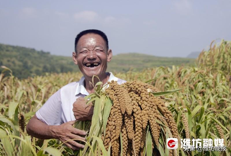 潍坊富硒水果供应