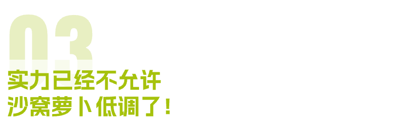 富硒正宗水果萝卜