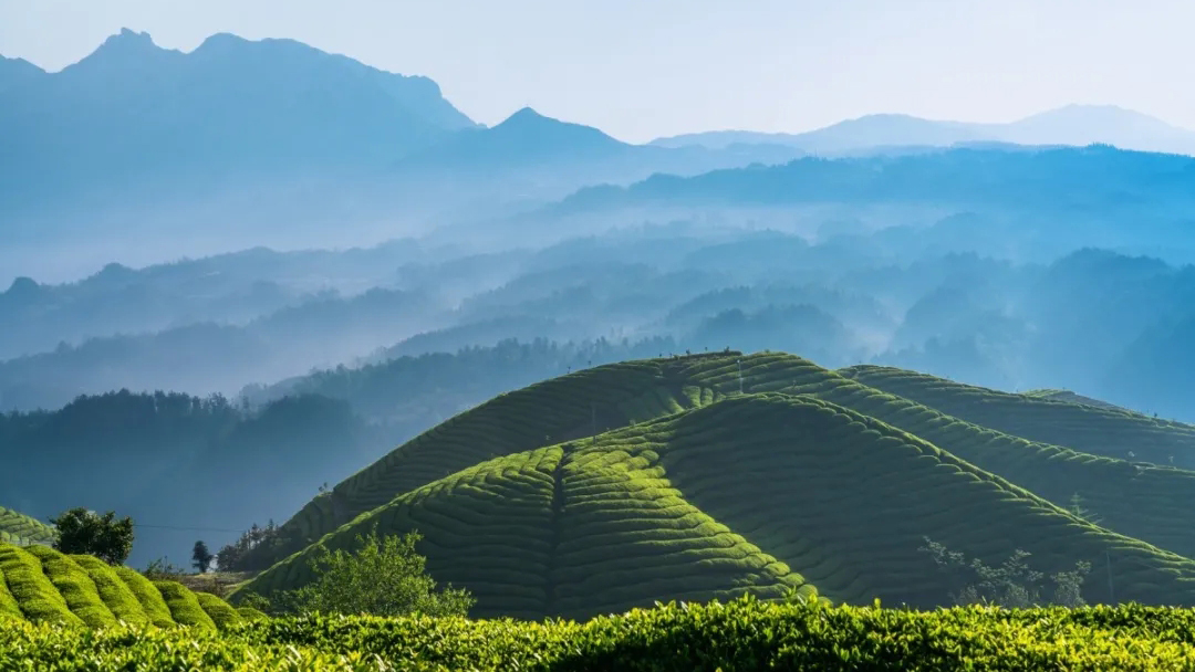 富硒有机水果出山