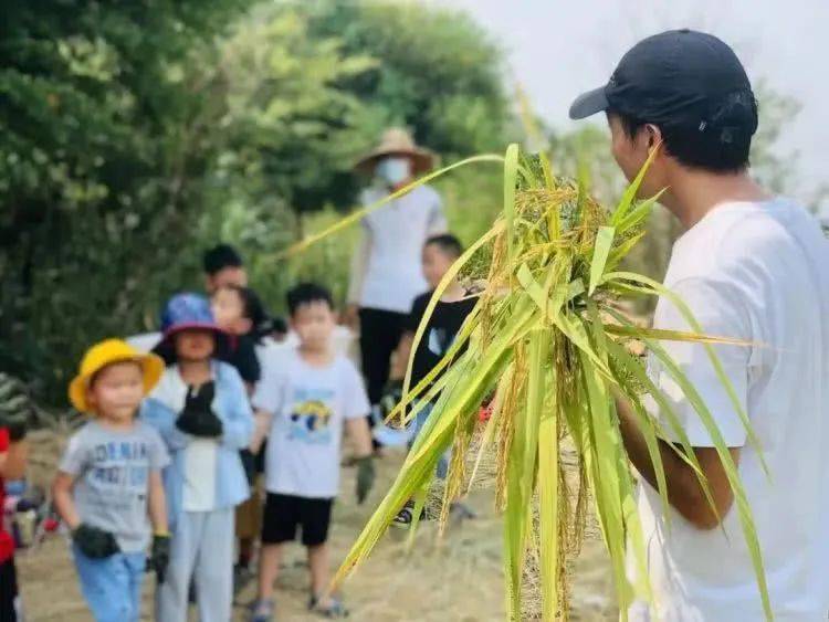 富硒水果采摘活动