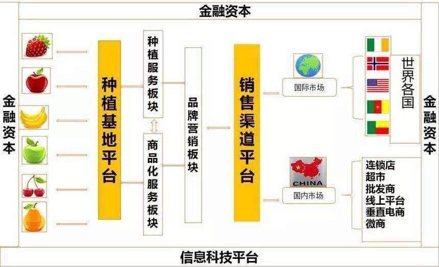 富硒水果标准体系