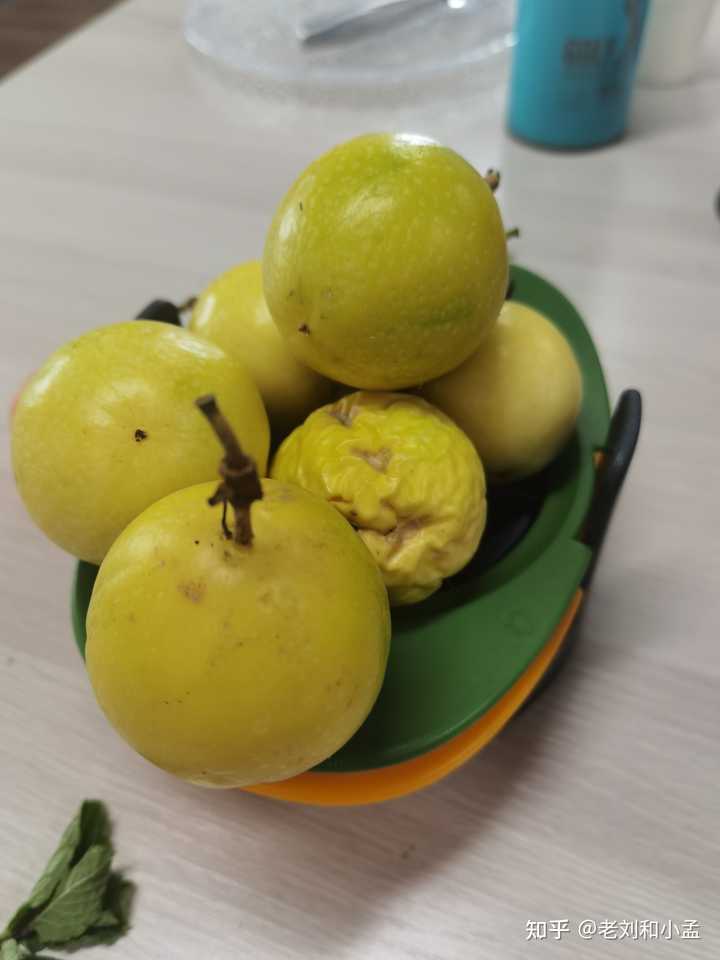 芒果是富硒水果吗