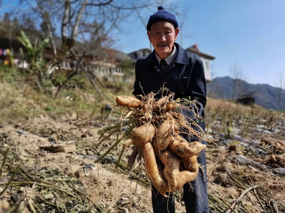 富硒水果能减肥吗