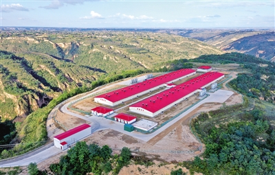 富硒高端水果基地