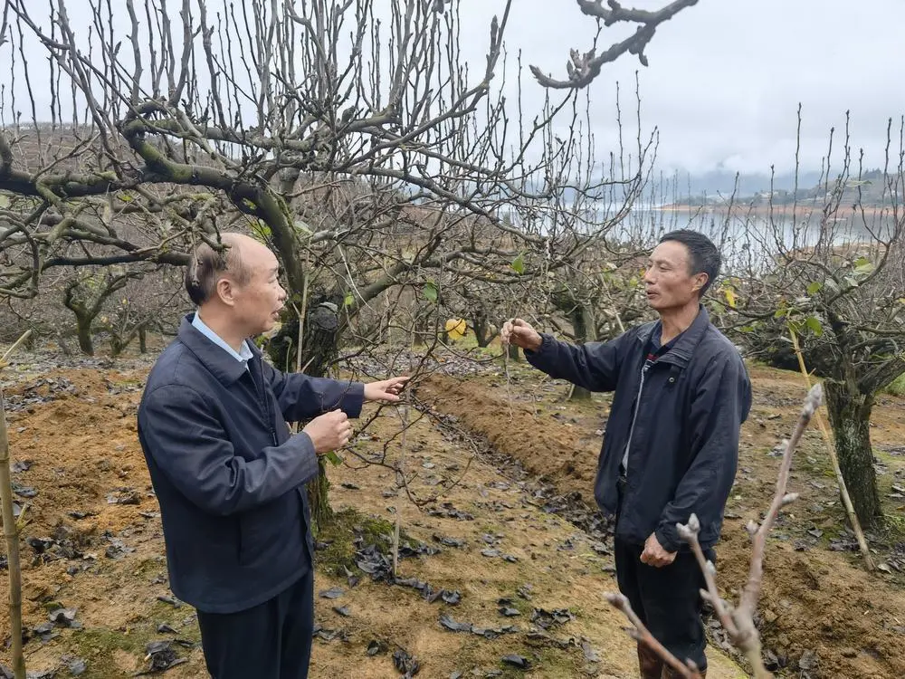 富硒水果有多少种