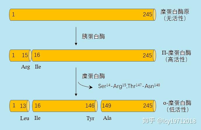 硒多肽是什么产品