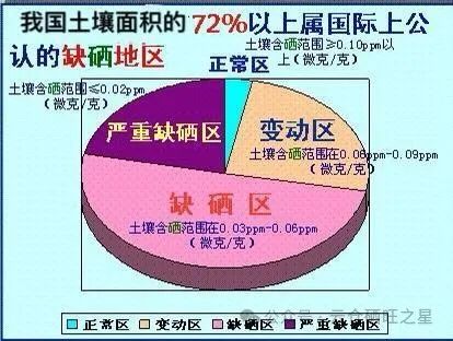 哪种硒产品吸收好