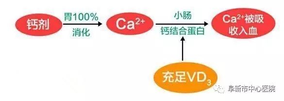 哪一种钙片补钙效果好