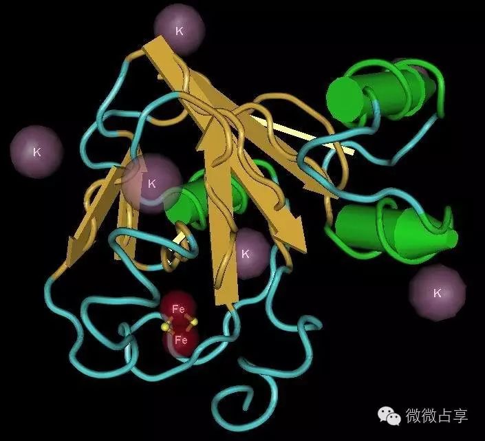 微量元素铁