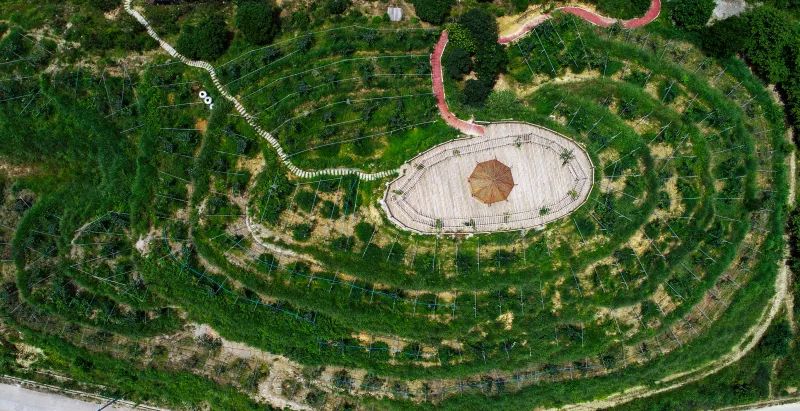 福建珍硒生物产品